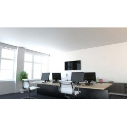 Ecosun Glass GS - Panneau Rayonnant en verre Blanc