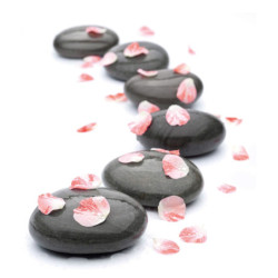 ECOSUN GS AVECIMPRESSION D'IMAGE