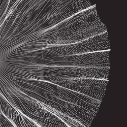 ECOSUN GS AVECIMPRESSION D'IMAGE