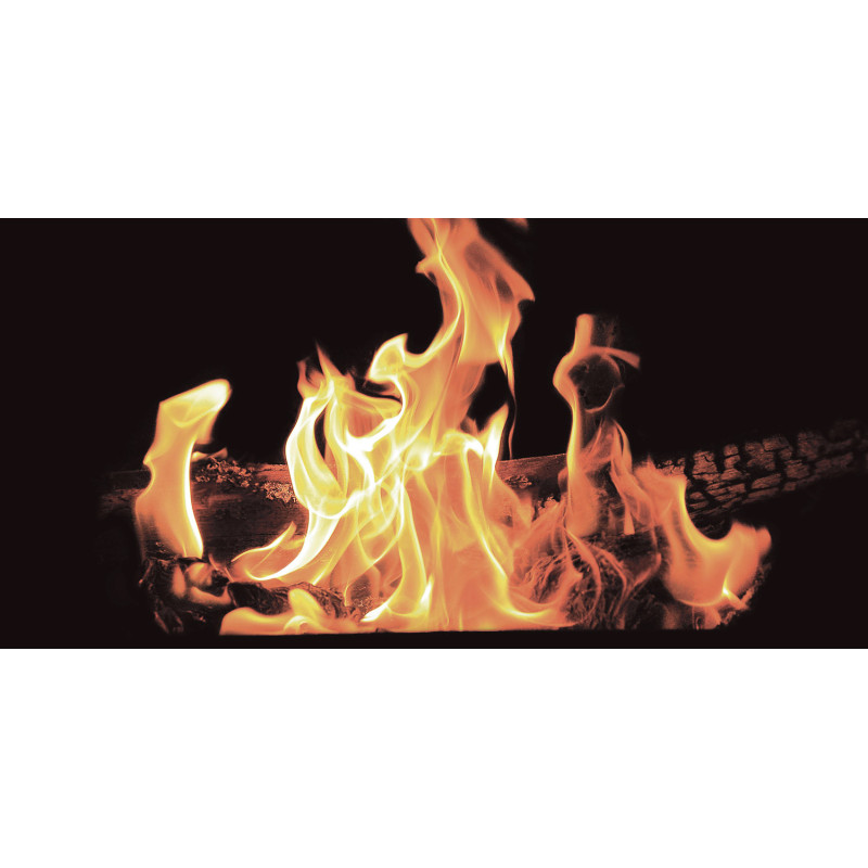 ECOSUN GS AVECIMPRESSION D'IMAGE