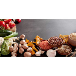 ECOSUN GS AVECIMPRESSION D'IMAGE