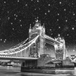 Ecosun Glass GS avec impression d'image - Panneau Rayonnant en verre