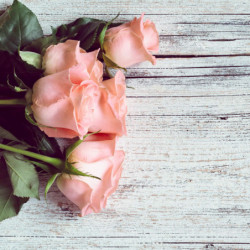 ECOSUN GS AVECIMPRESSION D'IMAGE