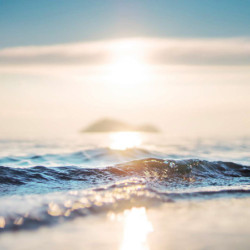 Ecosun Glass GS avec impression d'image - Panneau Rayonnant en verre