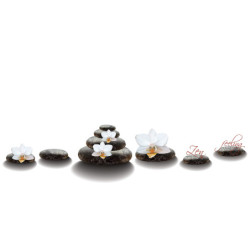 Ecosun Glass GS avec impression d'image - Panneau Rayonnant en verre