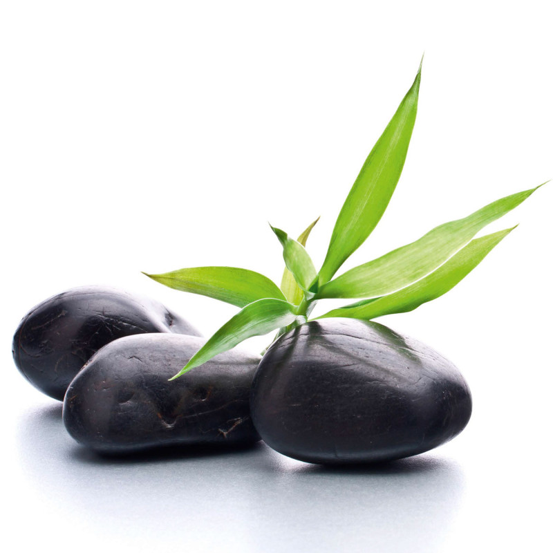 ECOSUN GS AVECIMPRESSION D'IMAGE