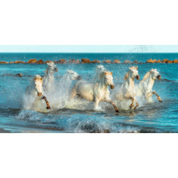 ECOSUN GS AVECIMPRESSION D'IMAGE