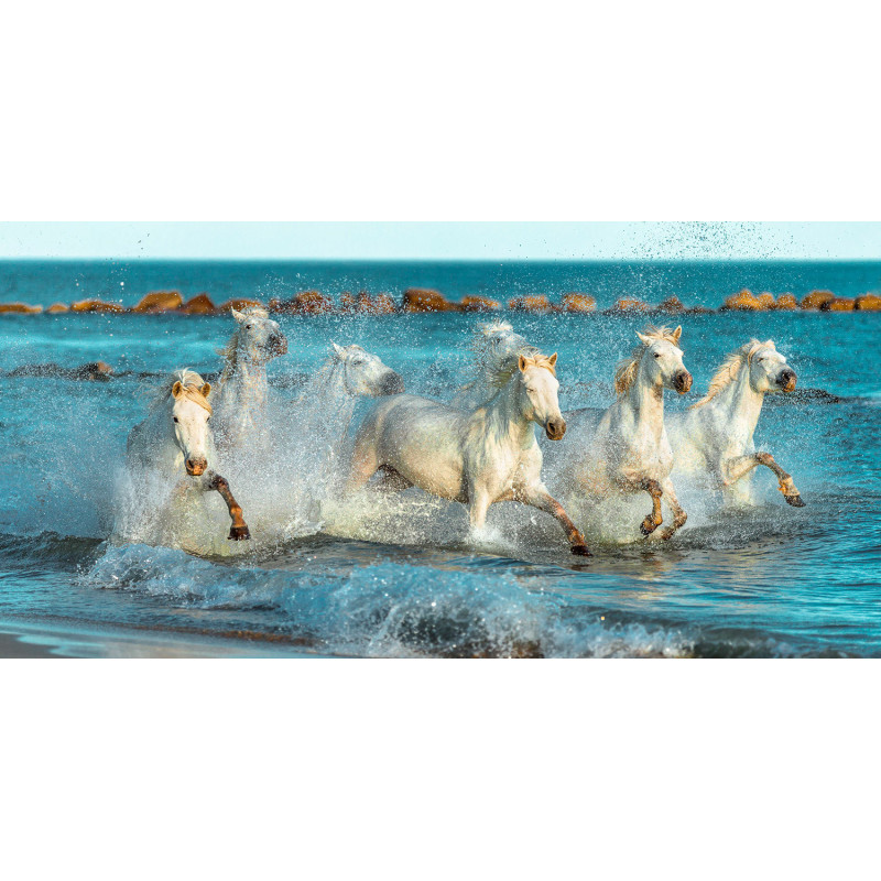 ECOSUN GS AVECIMPRESSION D'IMAGE