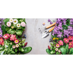 ECOSUN GS AVECIMPRESSION D'IMAGE