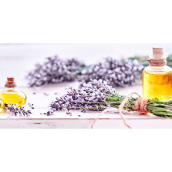 ECOSUN GS AVECIMPRESSION D'IMAGE