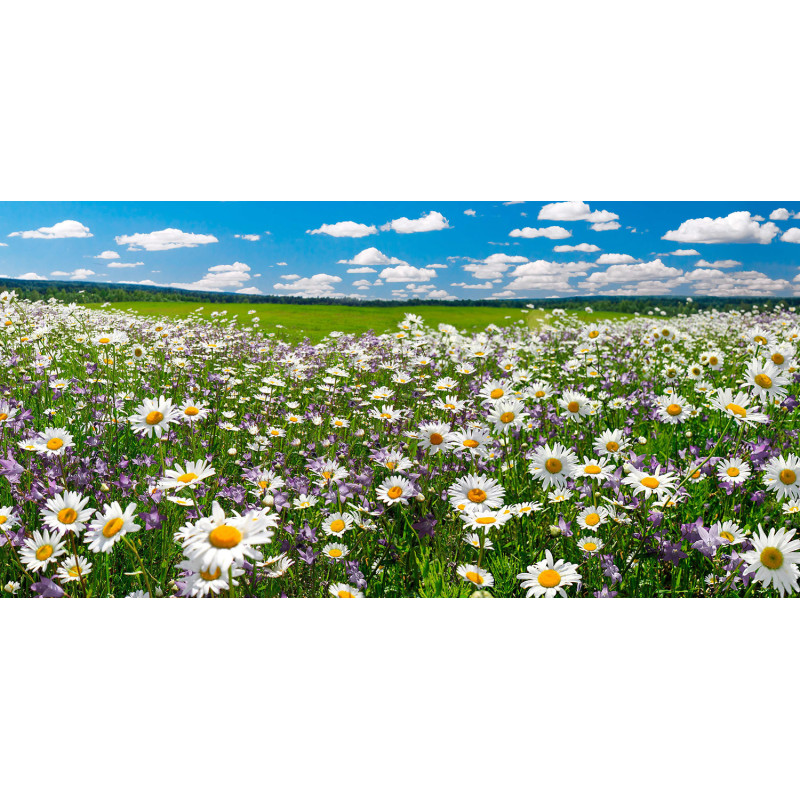 ECOSUN GS AVECIMPRESSION D'IMAGE