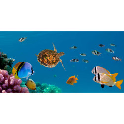 Ecosun Glass GS avec impression d'image - Panneau Rayonnant en verre