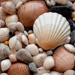 ECOSUN GS AVECIMPRESSION D'IMAGE