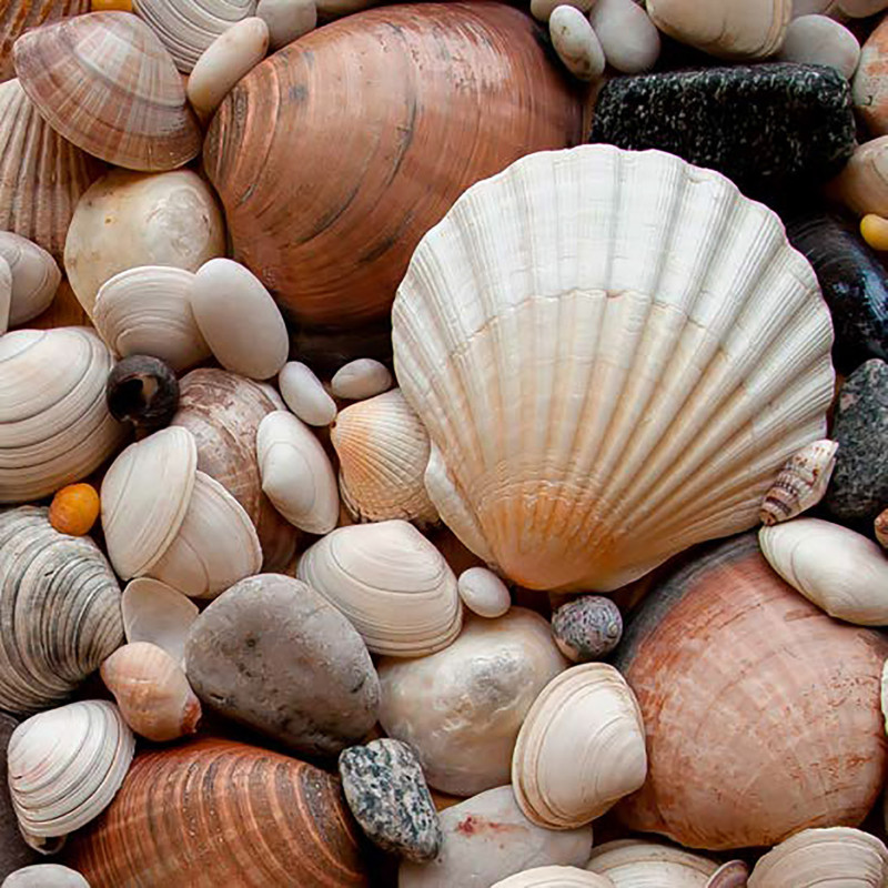 Ecosun Glass GS avec impression d'image - Panneau Rayonnant en verre