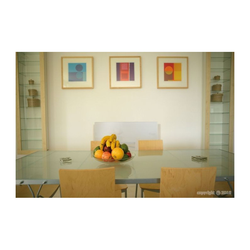 Glass radiant panel AZUR