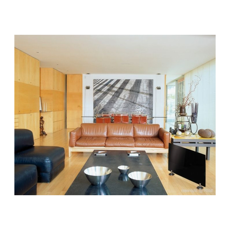 Ecosun Glass GR - Panneau Rayonnant en verre Noir