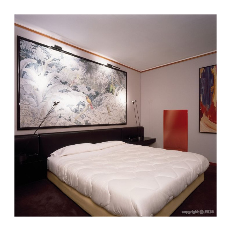 Radiant glass panel ROUGE