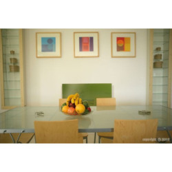 Ecosun Glass GR - Panneau Rayonnant en verre Vert