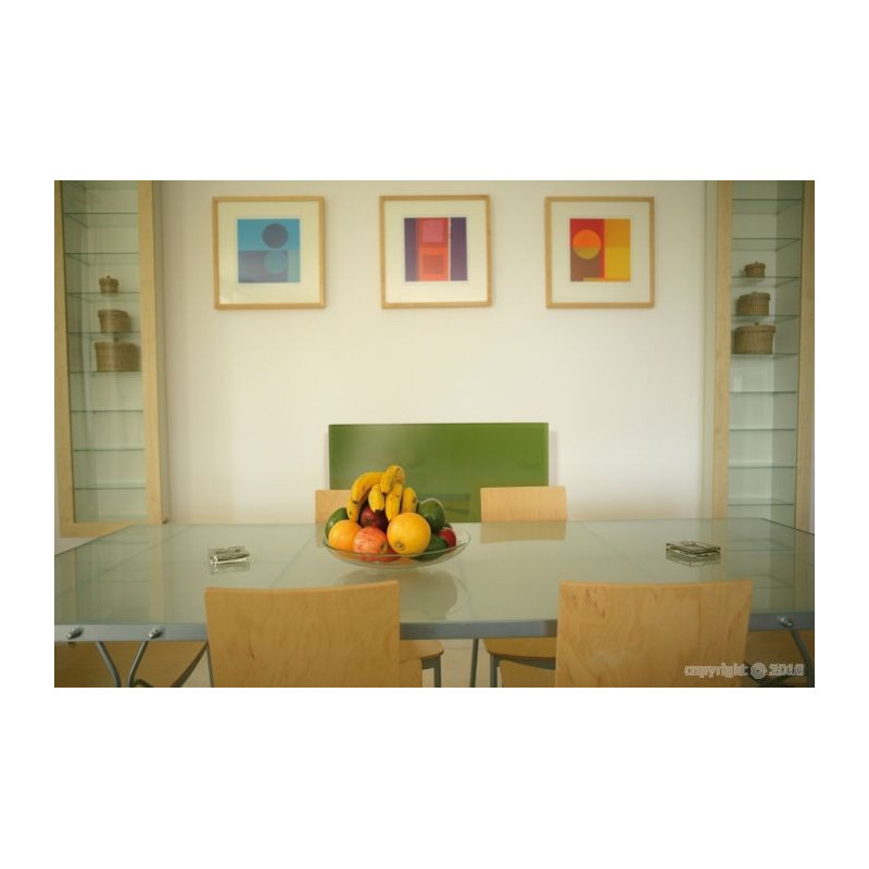 Radiant glass panel VERT