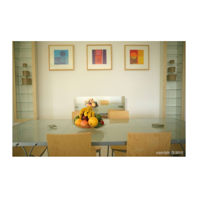 Ecosun Glass GR - Panneau Rayonnant en verre Miroir